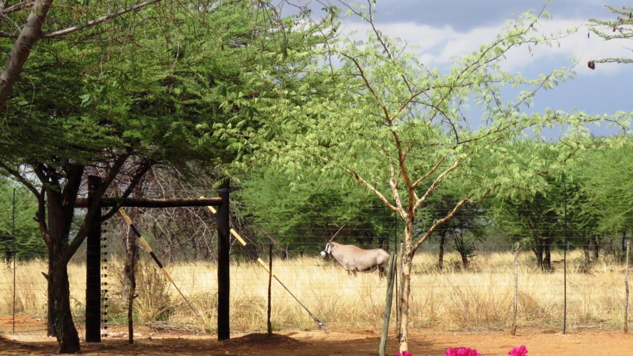 Lion'S Den Guesthouse Otjiwarongo Exterior photo