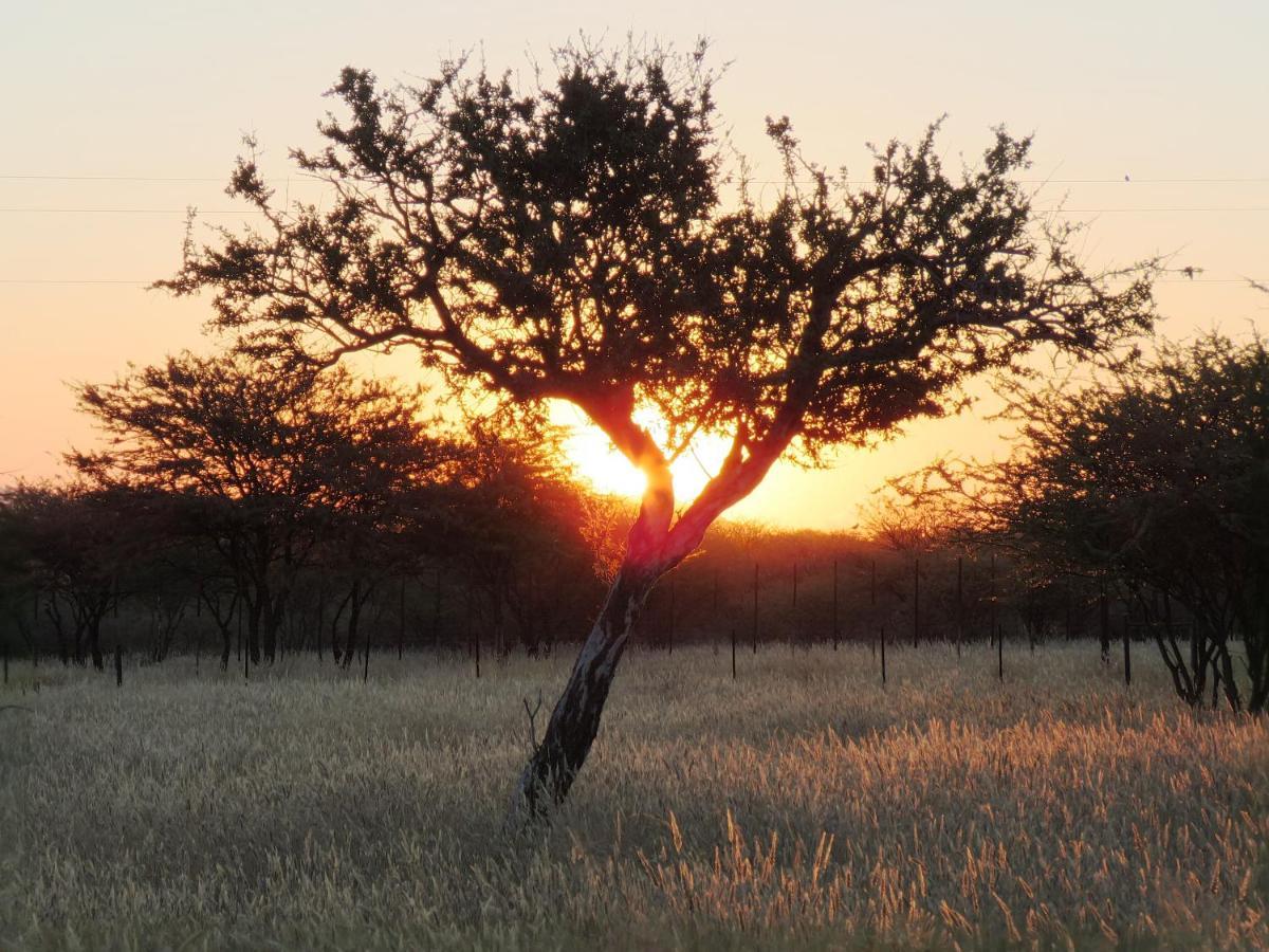 Lion'S Den Guesthouse Otjiwarongo Exterior photo