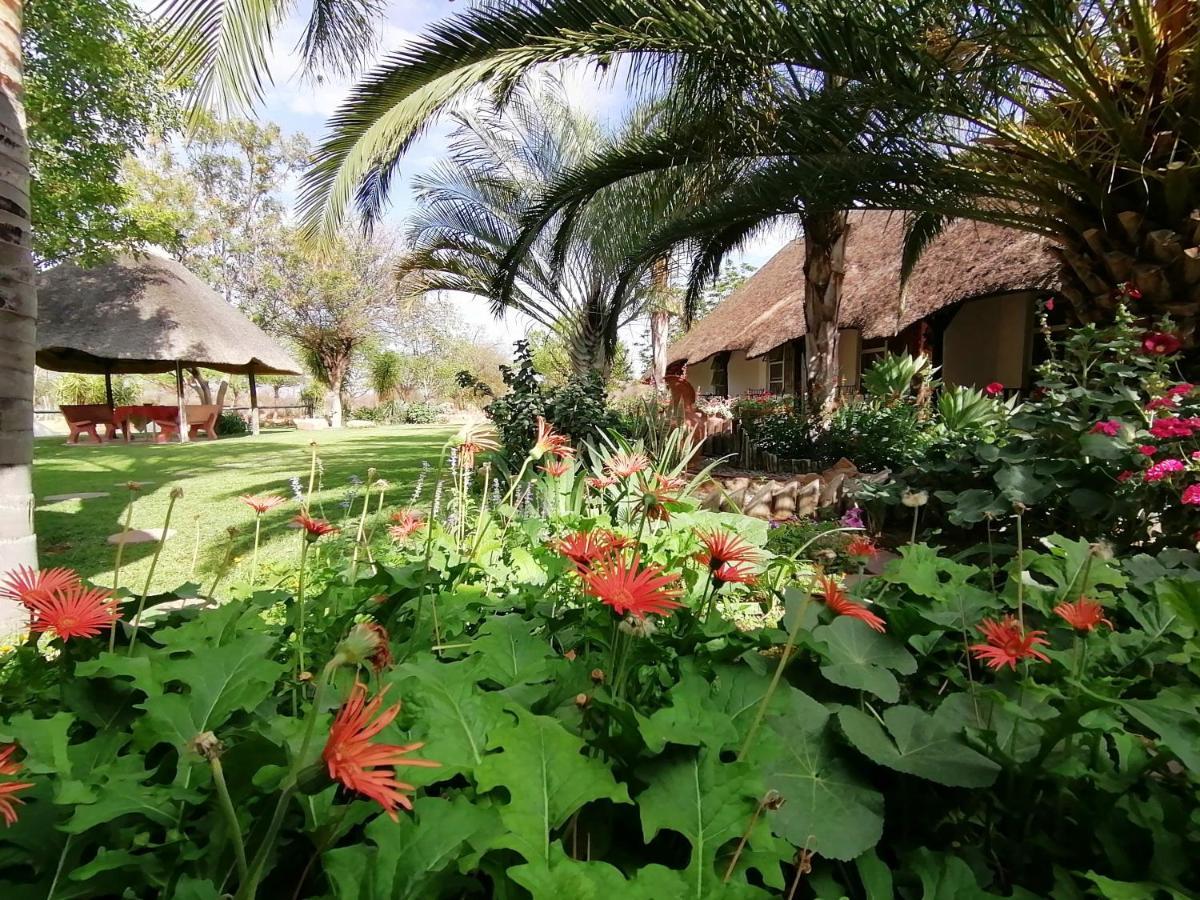 Lion'S Den Guesthouse Otjiwarongo Exterior photo