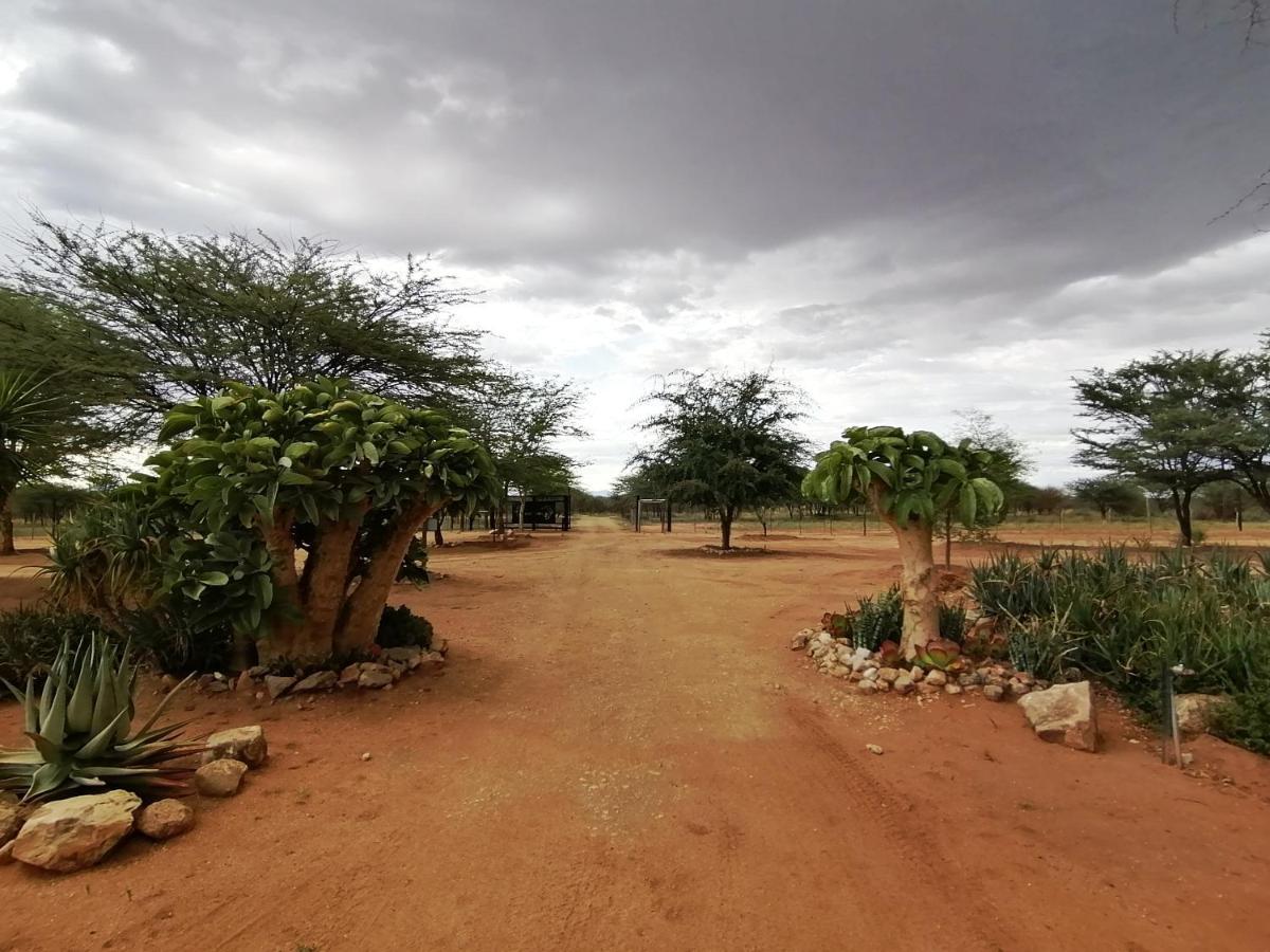 Lion'S Den Guesthouse Otjiwarongo Exterior photo